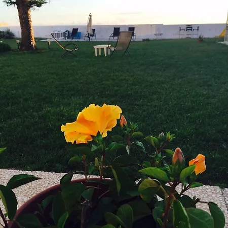 فندق مبيت وإفطار Suitebeach And