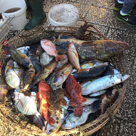 فندق مبيت وإفطار Suitebeach And مارسالا