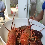 Suitebeach And Bed & Breakfast