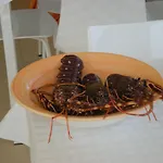 Suitebeach And Bed & Breakfast 4*