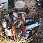 Alojamento de Acomodação e Pequeno-almoço Suitebeach And Marsala