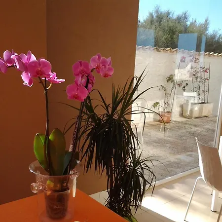 Bed & Breakfast Suitebeach And Marsala